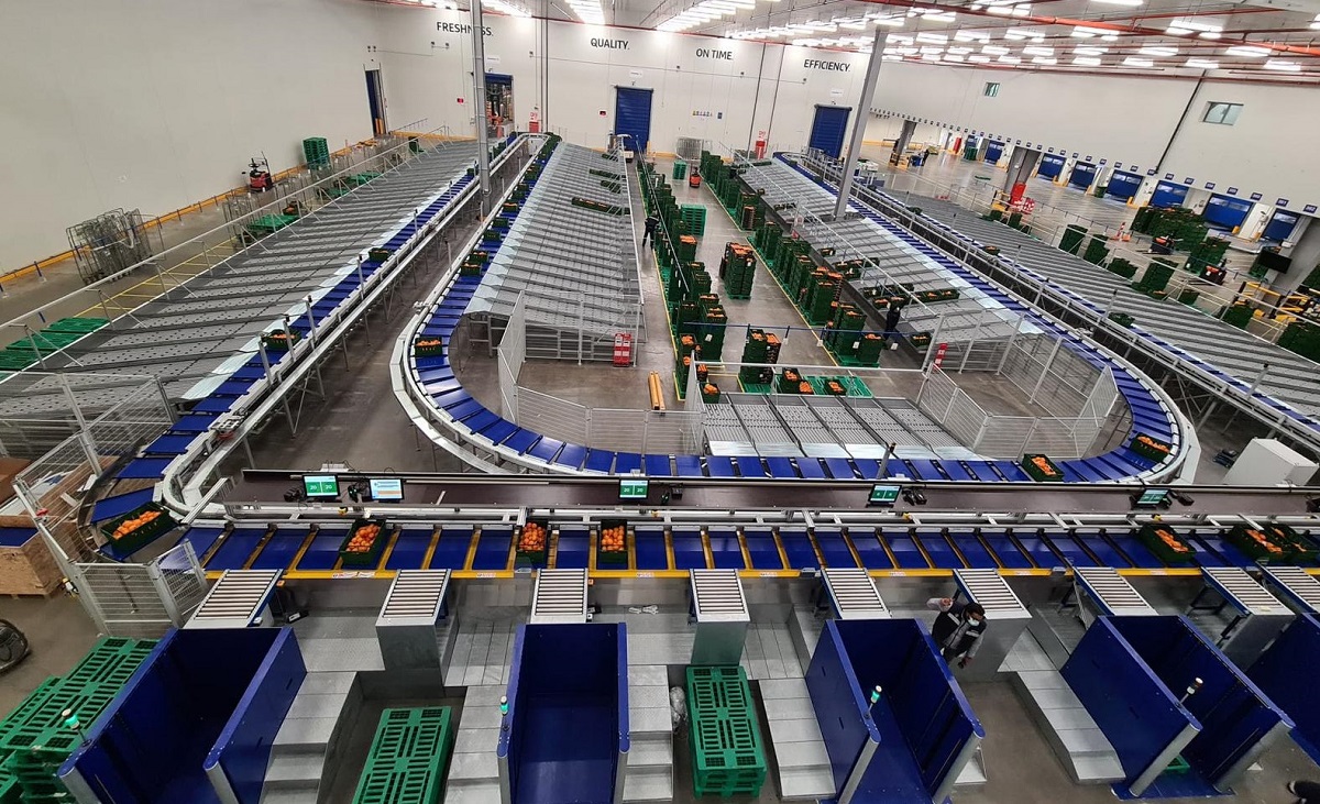 Sorter: Classificadores Automáticos